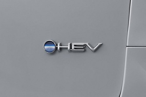 New Alphard XE HEV